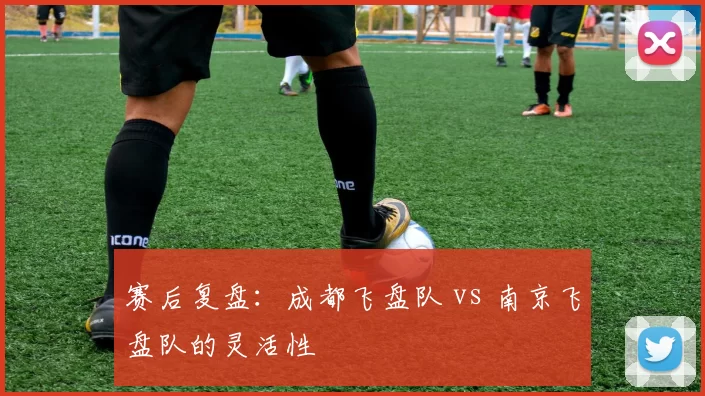 赛后复盘：成都飞盘队 vs 南京飞盘队的灵活性