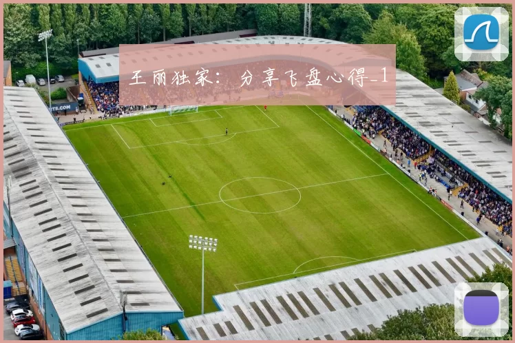 王丽独家：分享飞盘心得_1