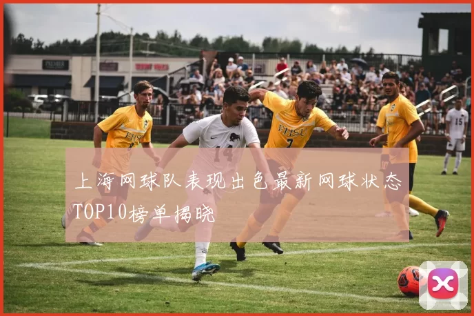 上海网球队表现出色最新网球状态TOP10榜单揭晓