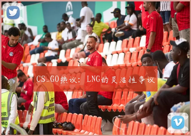 CS_GO热议：LNG的灵活性争议