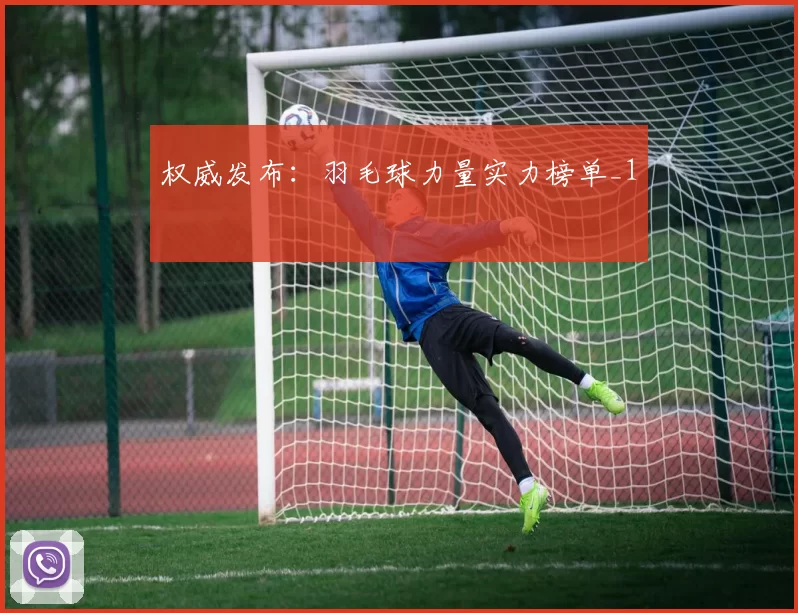权威发布：羽毛球力量实力榜单_1